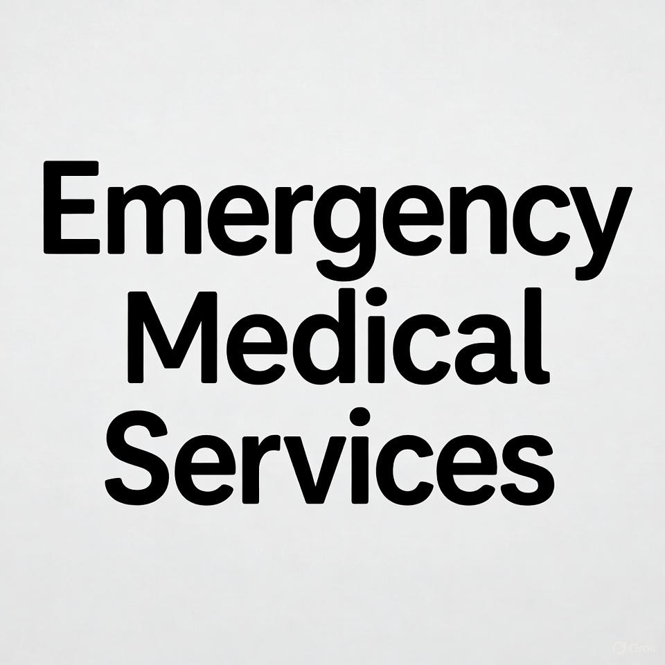 Emergency Medical Guide