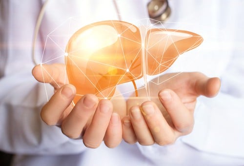 Liver Support Program 12