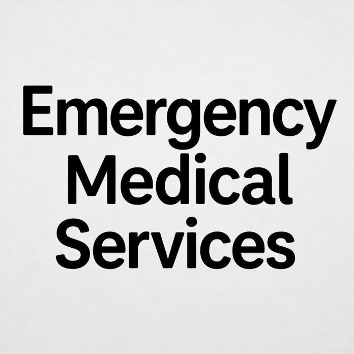 Emergency Medical Guide